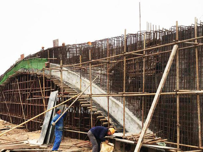 東湖綠道二期湖澤道五橋主體落成，再添城市生態(tài)新廊道